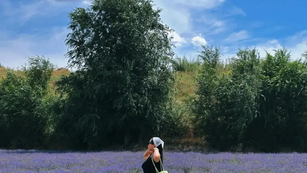 Практычнае кіраўніцтва для беларускіх маркетолагаў: як знайсці Snapchat‑крэатараў у Парагваі, каб павялічыць ахоп для брэндаў здаровага ладу жыцця.