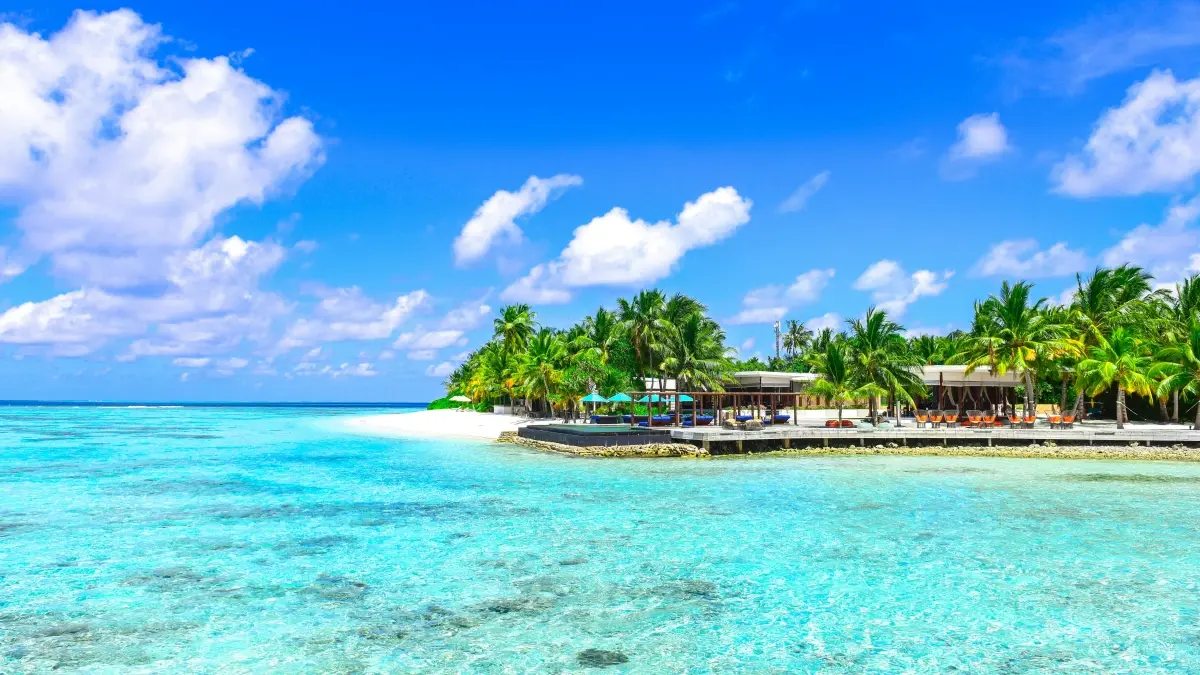 Puerto Rico Brands: Takatak engagement playbook
