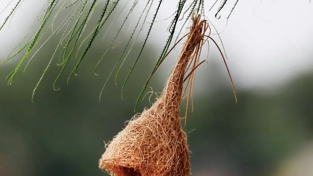 Практычнае кіраўніцтва для беларускіх рэкламадаўцаў: як адшукаць і працаваць з Reddit‑крэатарамі з Кот‑д’Івуару, каб прасунуць сезонныя модныя калекцыі.