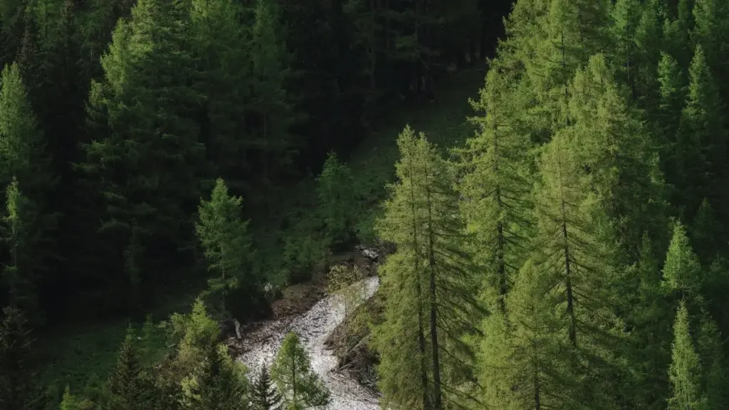 Практычнае кіраўніцтва для беларускіх крэатараў: як выйсці на іракскія брэнды, скарыстаць прагляды Netflix і прасоўваць must-have тавары праз рэальныя кейсы і інструменты.