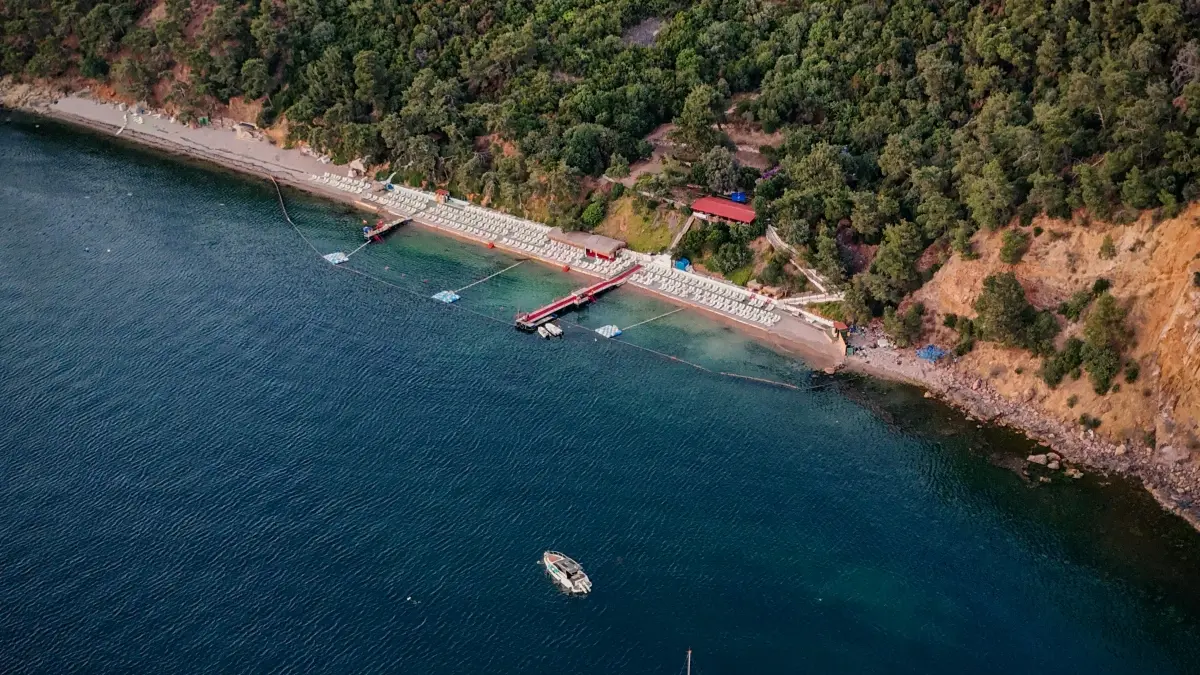 Рэкламарам: як знайсці Zalo-стваральнікаў з Бахрэйну і пашырыць ахоп