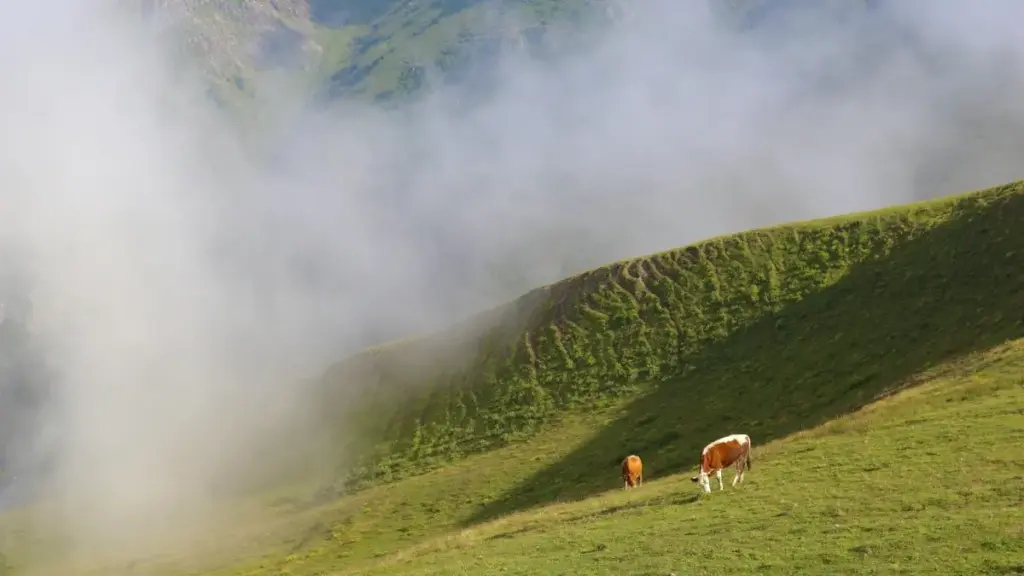 Практычны гайдаў для беларускіх рэкламадаўцаў: як знаходзіць і наймаць Algeria Line стваральнікаў для creator-led фітнэс‑чалленджаў з улікам глабальных трэндаў.