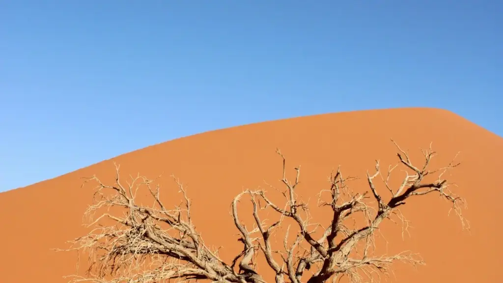 Практычны гайдзін для беларускіх рэкламадаўцаў: як адшукаць грузінскіх творцаў у Twitter і запусціць кампаніі на мадэлі аплаты за ўзаемадзеянне.