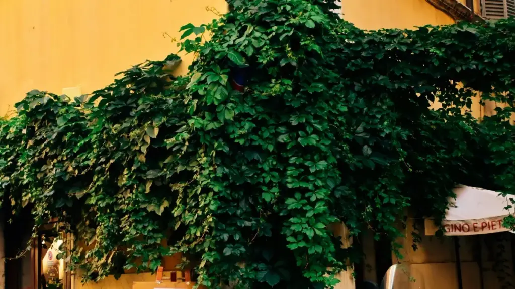 Кіраўніцтва для беларускіх рэкламадальнікаў: дзе шукаць перуанскіх Etsy-крэатараў і як выкарыстоўваць іх для росту ўстановаў мабільнай праграмы.