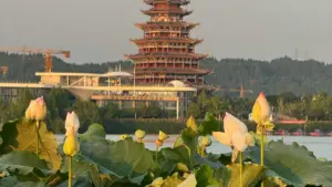 Практычны гайд для беларускіх рэкламадаўцаў: як знаходзіць і працаваць з Qatari Roposo-стваральнікамі, каб прасоўваць анлайн-платформы навучання.