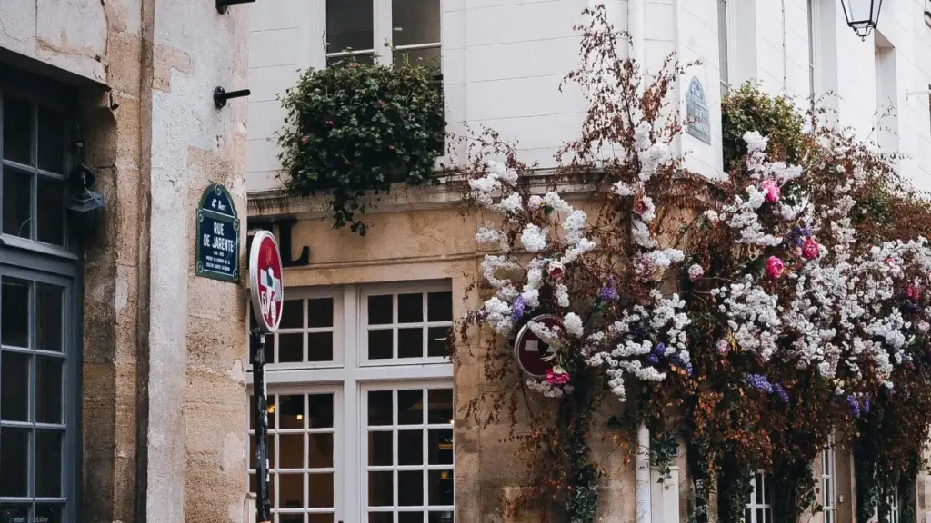 Кандыдат-план для беларускіх крэатараў: як знаходзіць непальскія брэнды ў Telegram, пісаць прапановы і рабіць туторыялы, якія рэальна прадаюць.