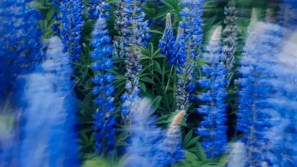 Практычны гайдзін для беларускіх крээйтараў: як праз Reddit і спонсарскія інструменты наладзіць кантакт з расійскімі брэндамі, збіраць інсайты і прадаваць кансультацыі.