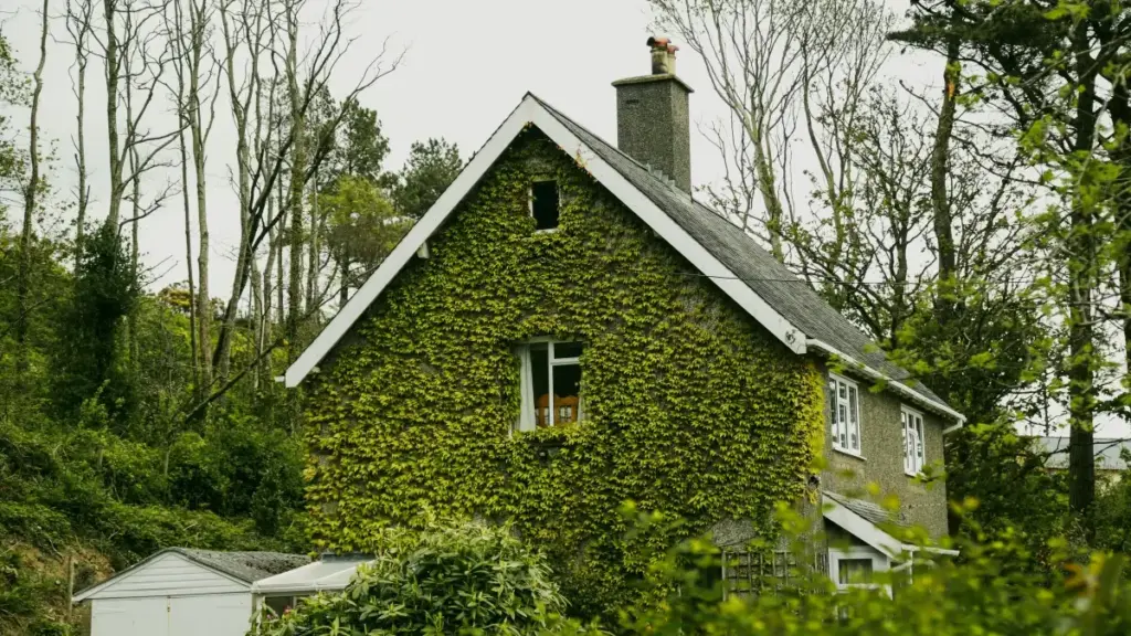 Практычнае кіраўніцтва для беларускіх рэкламадаўцаў: пошук Iran Viber-крэатараў для кампаній па ўстойлівасці, інструменты, рызыкі і тактыкі падтрымкі.