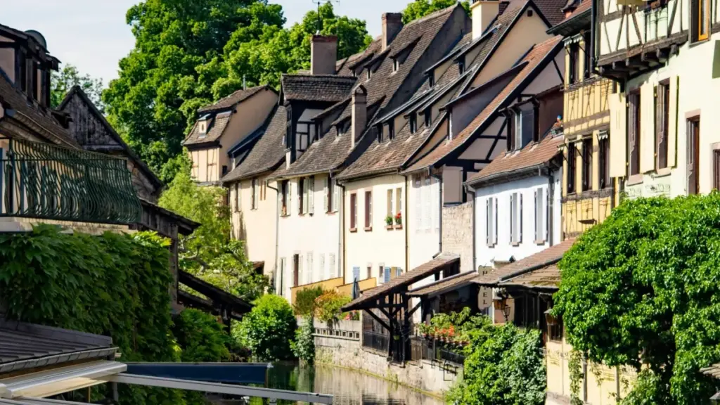 Практычнае кіраўніцтва для беларускіх фітнэс-крэатараў: як выходзіць на новазеландскія брэнды праз OnlyFans, стратэгіі кантакту і рызыкі.