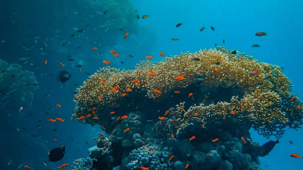 Практычны гайд для беларускіх рэкламадаў: дзе шукаць парагвайскіх Telegram-стваральнікаў, як ацаніць уплыў і палепшыць брэнд-сэнтымэнт мясцовай аўдыторыі.