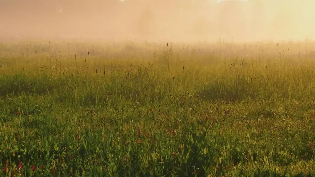 Практычнае кіраўніцтва для беларускіх рэкламадаўцаў: як адшукаць, праверыць і працаваць з камбоджыйскімі Kuaishou-стваральнікамі, каб павысіць social engagement без рызык.