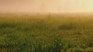 Практычнае кіраўніцтва для беларускіх рэкламадаўцаў: як адшукаць, праверыць і працаваць з камбоджыйскімі Kuaishou-стваральнікамі, каб павысіць social engagement без рызык.