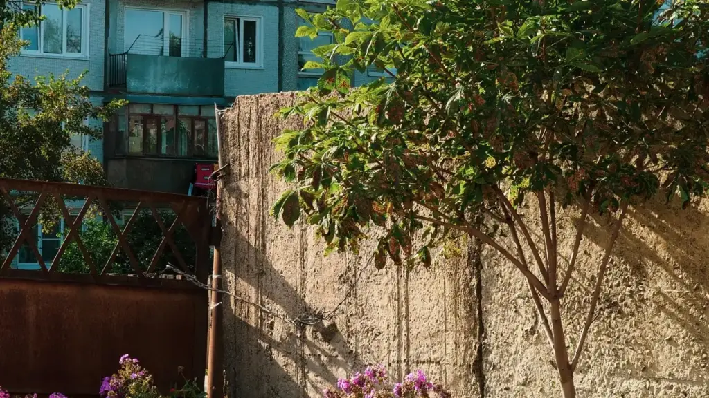 Практычнае кіраўніцтва для беларускіх крэатараў: як знайсьці і дабіцца супрацоўніцтва з Nepal брэндамі на Kuaishou і трапіць у іх эксклюзіўныя beta‑запускі.