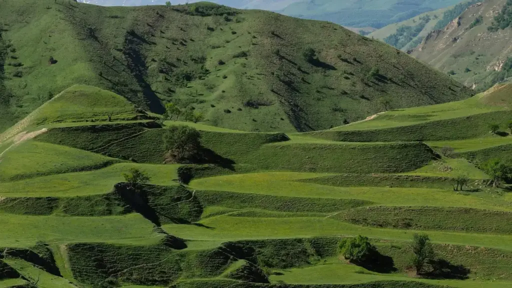 Практычны гайдзін для беларускіх відэакрэатараў: як шукаць, прадаваць і манетызаваць кантэнт з бразільскімі брэндамі праз YouTube у 2026 годзе.