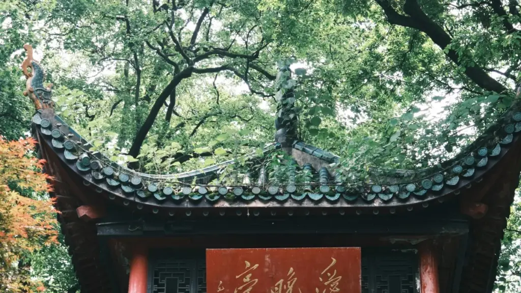 Практычнае кіраўніцтва для беларускіх крэатараў: як знаходзіць, кантактаваць і запускаць стайл‑чэлленджы з ліванскімі брэндамі праз WeChat з улікам рызык і лакальнага трэнду.