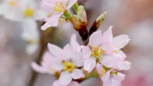 Кіраўніцтва для беларускіх рэкламадаўцаў: дзе і як знайсці індыйскіх крэатараў, якія робяць відэа-агляды пра Disney Plus, і як замовіць візуальныя рэцэнзіі з вынікамі.