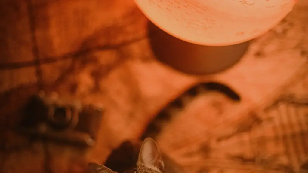 Практычнае кіраўніцтва для крэатараў з Беларусі: як пераканаць в’етнамскія брэнды працаваць з вамі праз Hulu, пабудаваць давер і атрымаць месцы ў топ‑кампаніях.