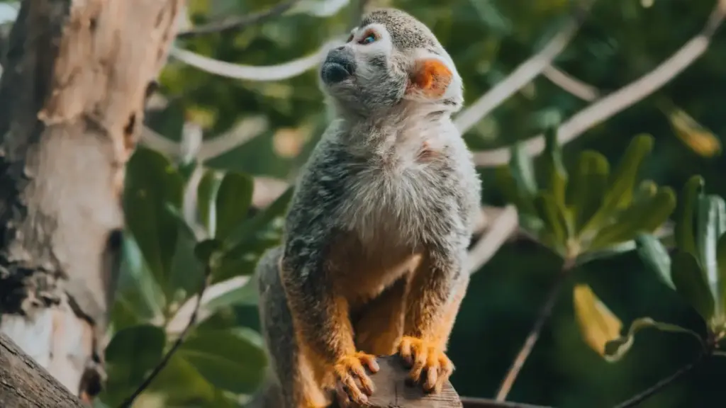 Практычны разбор, як выйсці на венгерскія брэнды праз HBO Max, прапанаваць event coverage і не прамахнуцца са спонсарскімі тэгамі.