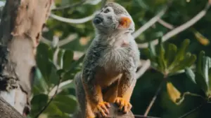 Практычны разбор, як выйсці на венгерскія брэнды праз HBO Max, прапанаваць event coverage і не прамахнуцца са спонсарскімі тэгамі.