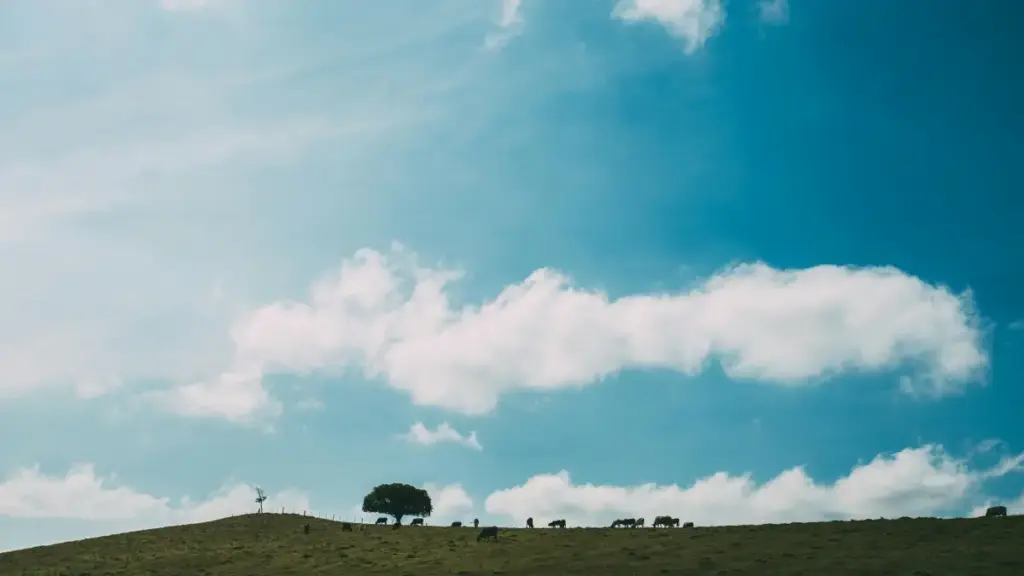 Практычны гайдзін для беларускіх рэкламадаўцаў: дзе шукаць ізраільскіх Zalo-стварцоў, як ацэньваць нішавыя аўдыторыі і запускаць аўтэнтычныя кампусні-кампаніі.